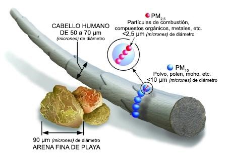 Gráfica comparativa de ejemplos de partículas de materia