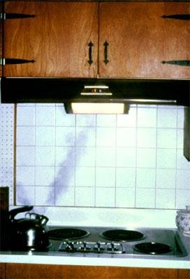 image of a kitchen vent