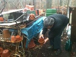 Man removing standing water from flower pots that are outside