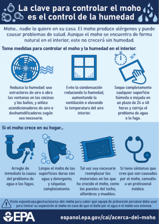 La clave del control del moho es el control de la humedad - Infografía