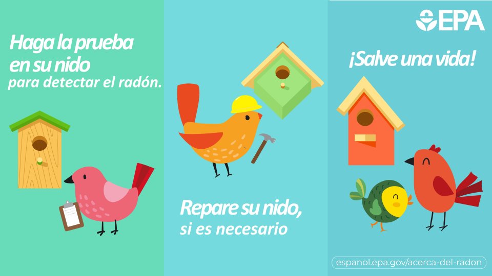 Haga la prueba en su nido para detectar el radón. Repare su nido, si es necesario ¡Salve una vida! 