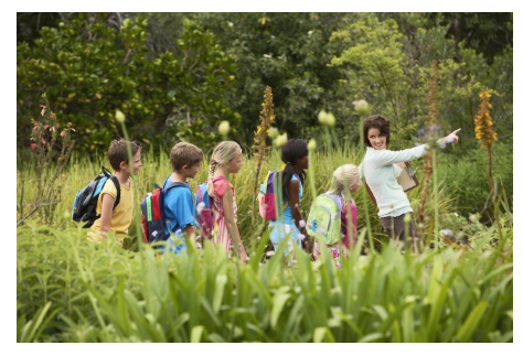 Un grupo de niños de edad escolar parados con su maestra en un campo de mucho pasto al aire libre